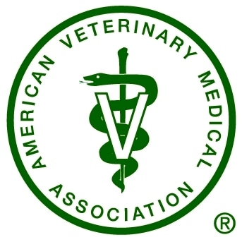 Veterinary Technology Program at New England Tech Receives National  Accreditation - NEIT