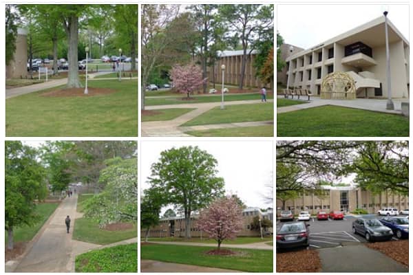 Glimpses of the Jefferson Campus