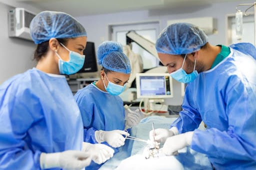 Veterinarian surgeons in operation room